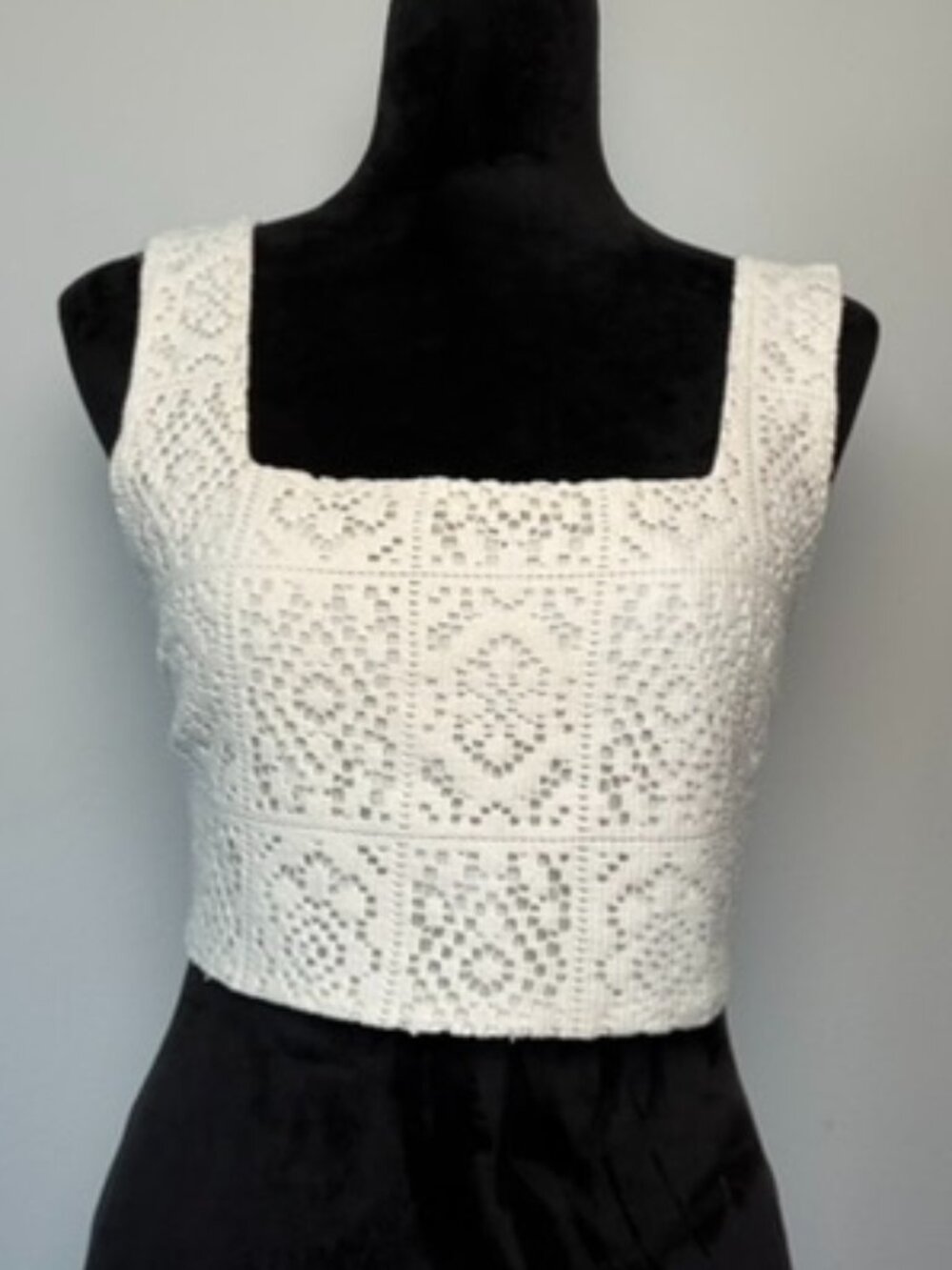 NWT Le Lis Cream Crochet Lace Square Neck Crop Top Size M